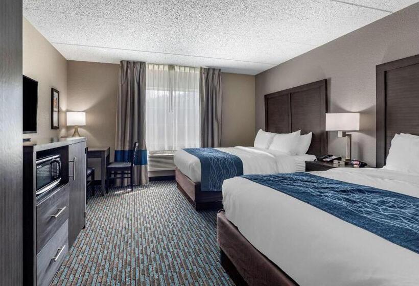 Номер Стандарт, Comfort Inn