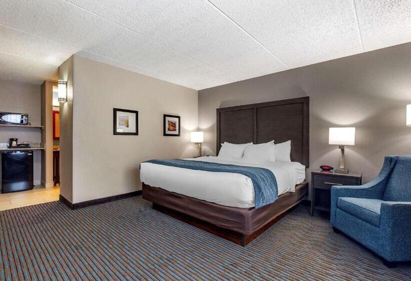 Номер Стандарт Кровать Кинг Адаптированный для Инвалидов, Comfort Inn