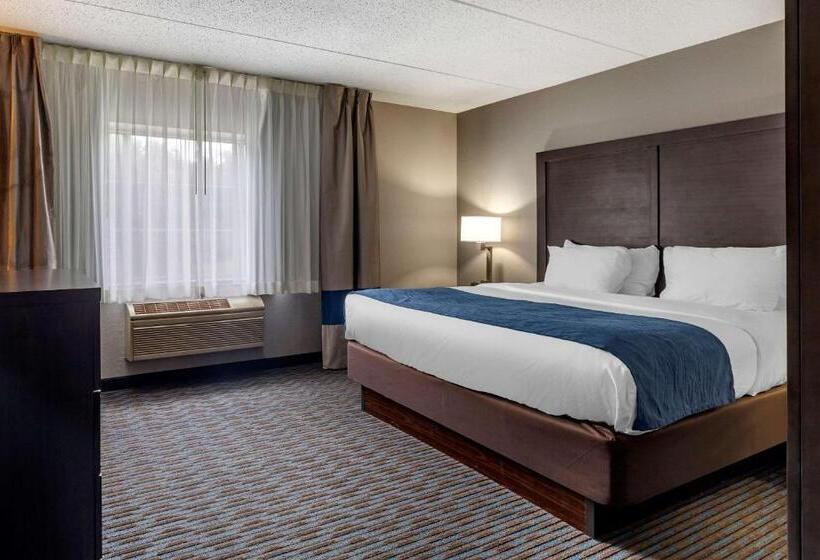 Люкс Адаптированный для Инвалидов, Comfort Inn