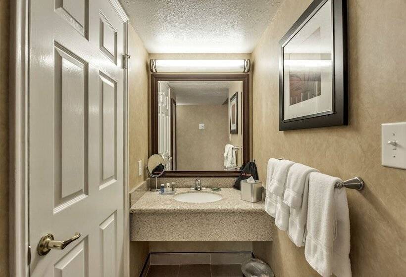 Номер Стандарт 2 Двуспальные Кровати, Radisson Hotel Salt Lake City Airport