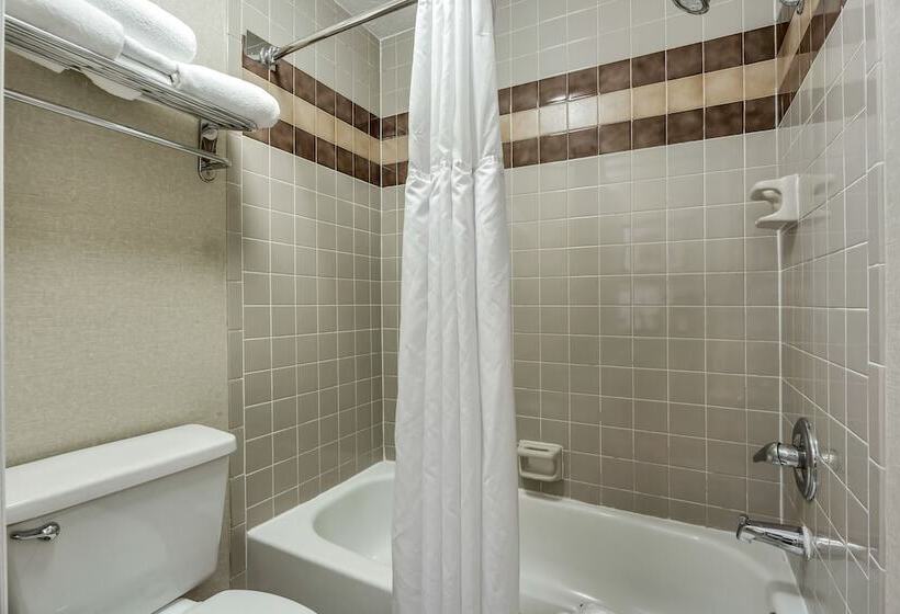 Номер Premium с Балконом, Radisson Hotel Salt Lake City Airport