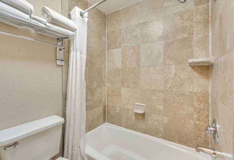 Номер Premium с Балконом, Radisson Hotel Salt Lake City Airport