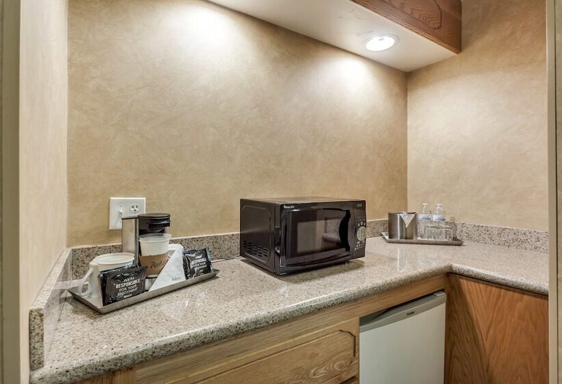 Номер Премиум, Radisson Hotel Salt Lake City Airport