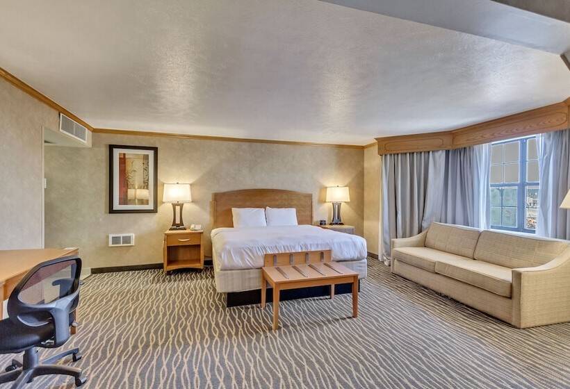 Номер Премиум, Radisson Hotel Salt Lake City Airport