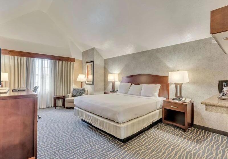 스탠다드 룸 킹사이즈 침대, Radisson Hotel Salt Lake City Airport