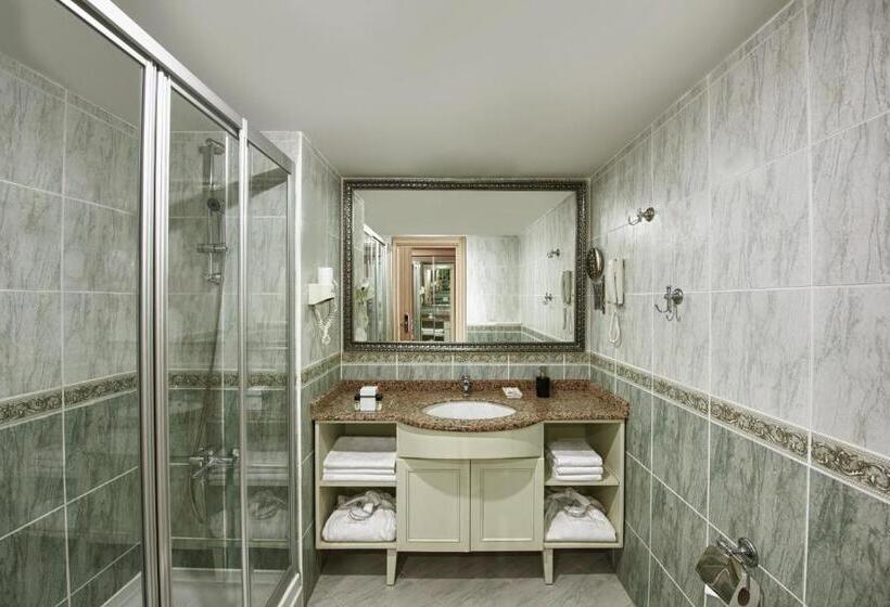 اتاق اساندارد با چشم‌انداز جانبی به دریا, Delphin Deluxe Resort