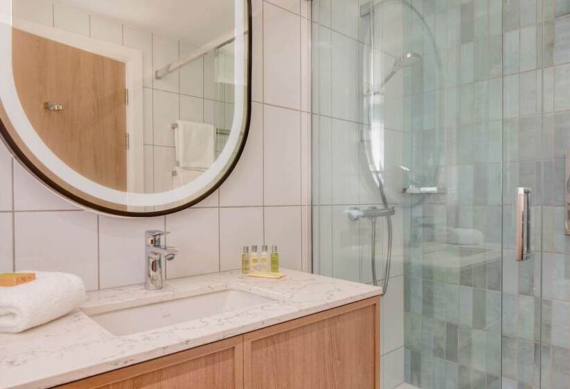 스탠다드 룸 킹사이즈 침대, Hilton Dublin Airport