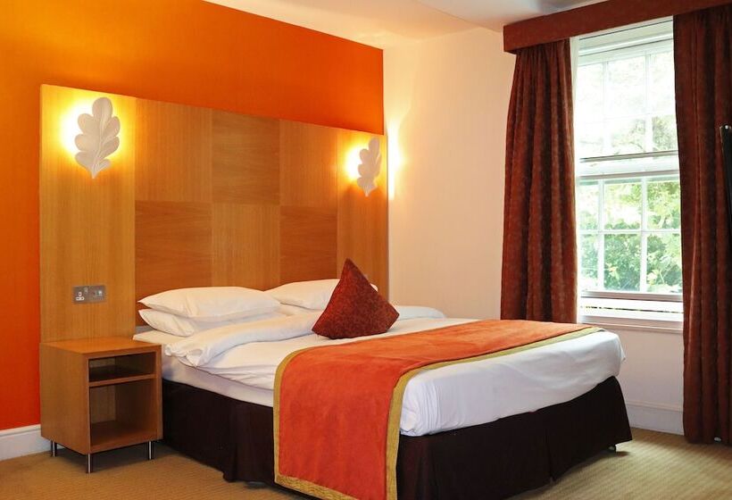 Quarto Estandar, The Pinewood