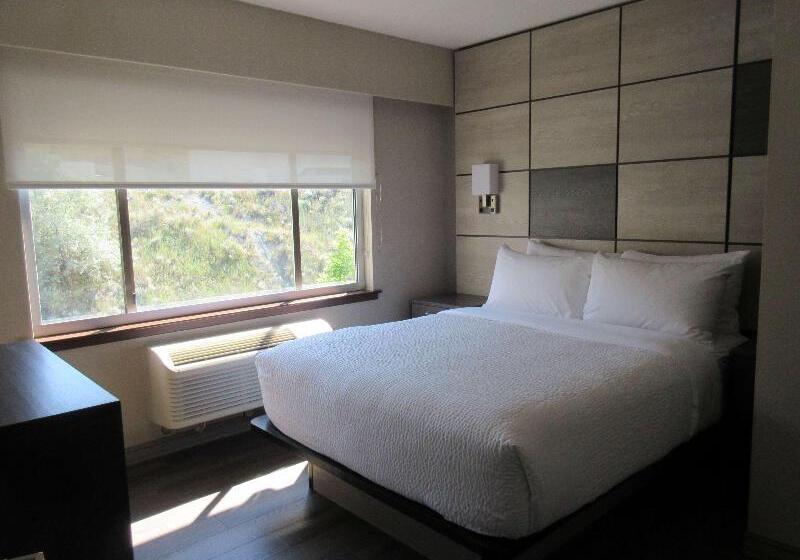 クイーンサイズベッドのスイートルーム, Best Western Premier Aberdeen Kamloops
