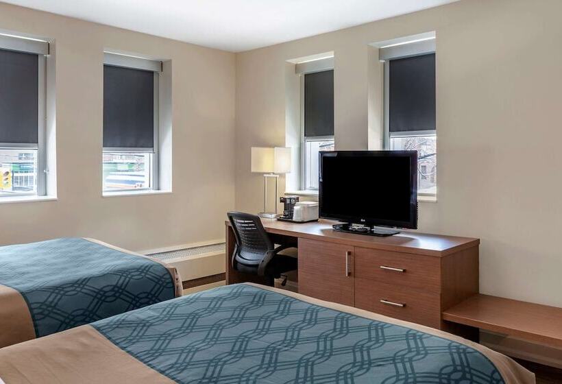 ２ダブルベッドのスタンダードルーム, Econolodge Downtown Toronto