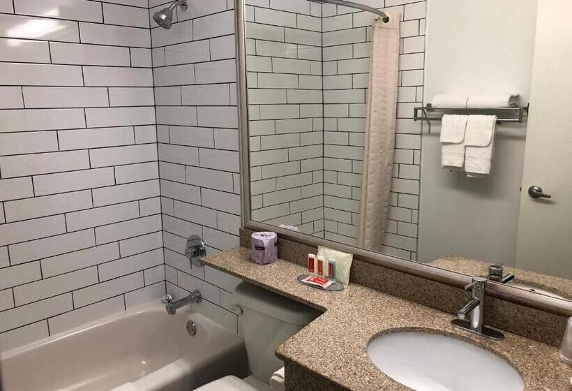Standard Værelse, Econolodge Downtown Toronto