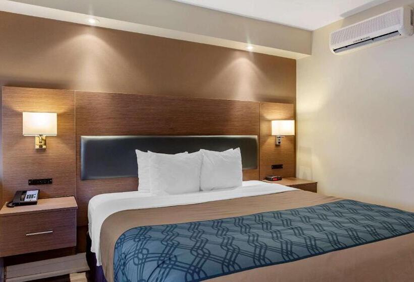 キングサイズベッドのスタンダードルーム, Econolodge Downtown Toronto