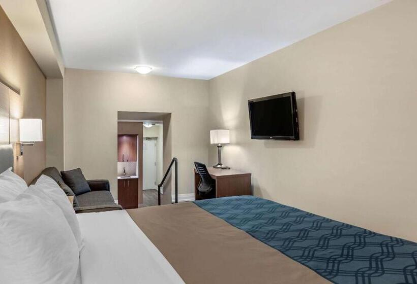 キングサイズベッドのスタンダードルーム, Econolodge Downtown Toronto