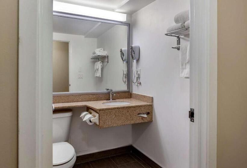 Standard Værelse King Size Seng, Econolodge Downtown Toronto