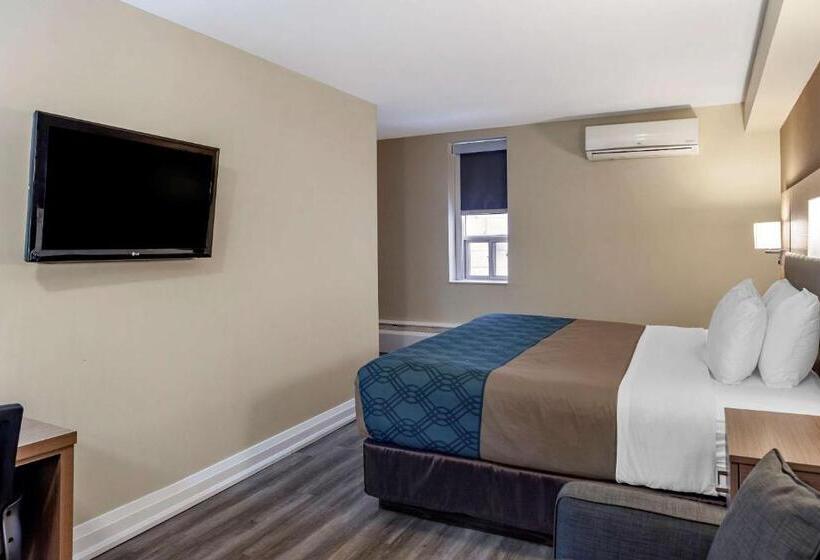 キングサイズベッドのスタンダードルーム, Econolodge Downtown Toronto
