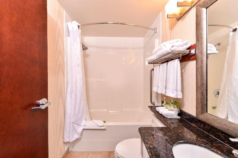 キングサイズベッドのスタンダードルーム, Holiday Inn Express Edmonton North, An Ihg