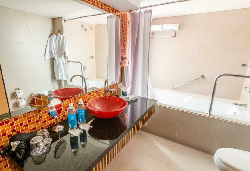 Полулюкс, Sonesta Hotel Cali