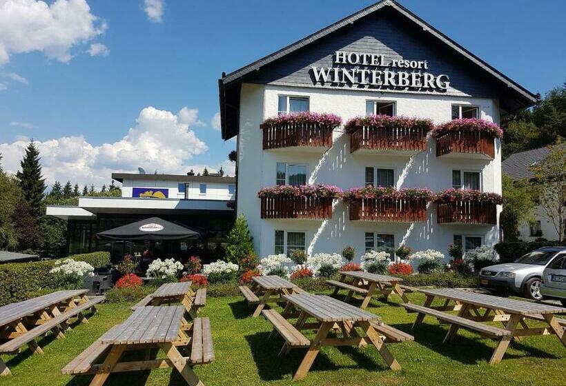 Номер Стандарт, Winterberg Resort