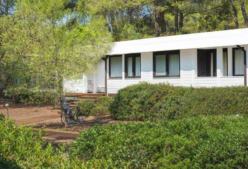 Номер Стандарт Вид на Сад, Ethra Reserve Alborèa