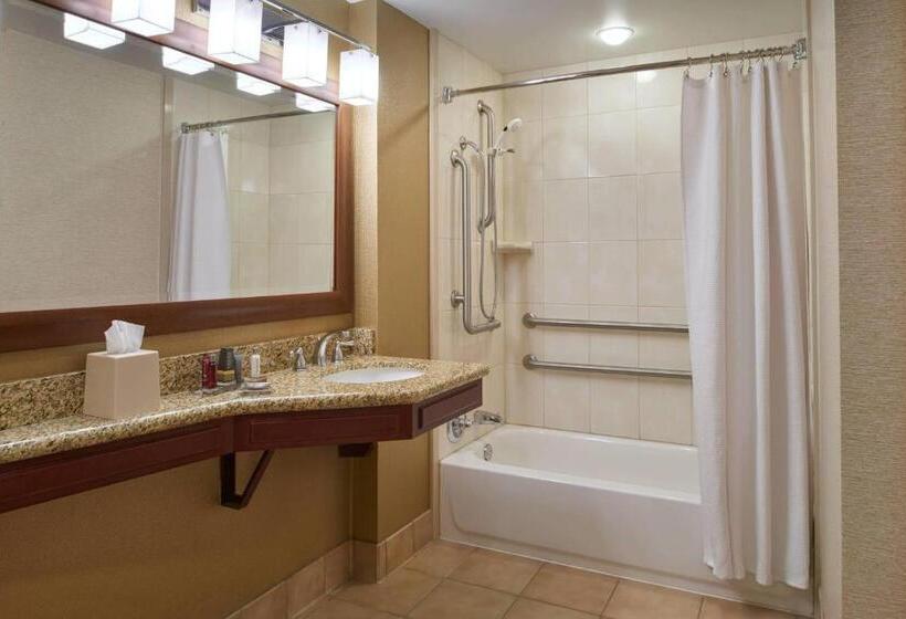 Quarto Standard para Deficientes, Chicago Marriott Midway
