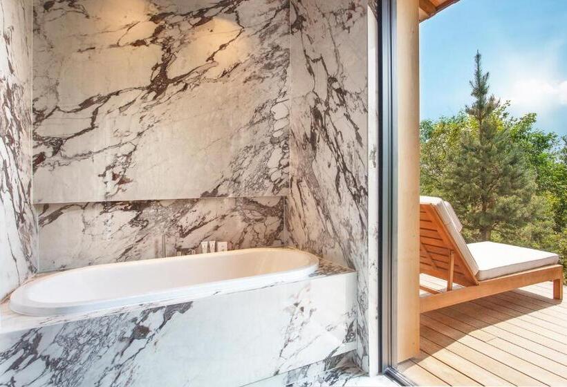Номер Стандарт с Гидромассажем, Jiva Hill Resort  Geneve