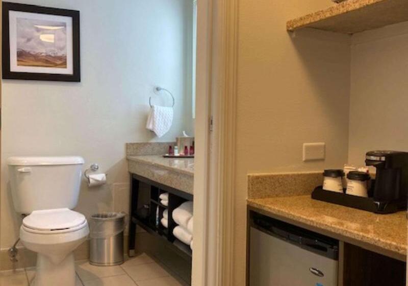 Люкс Кровать Кинг, Best Western Premier Denver East