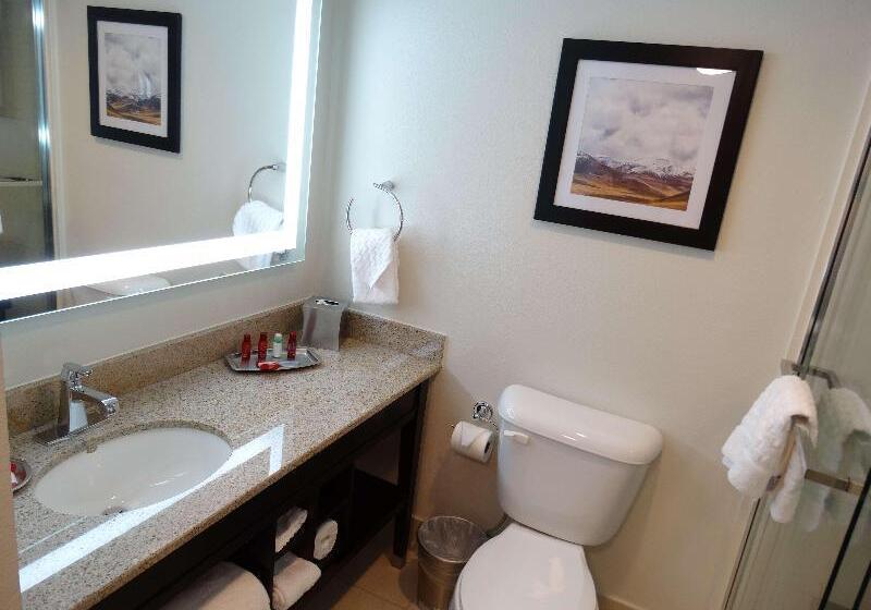 Люкс, Best Western Premier Denver East