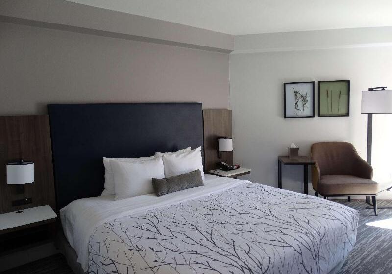 Стандартный Номер Кровать Кинг, Best Western Premier Denver East