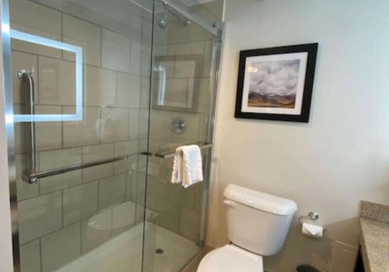Люкс Вид на Бассейн, Best Western Premier Denver East