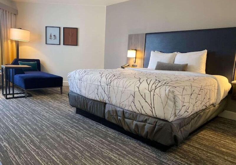 Стандартный Номер Кровать Кинг, Best Western Premier Denver East