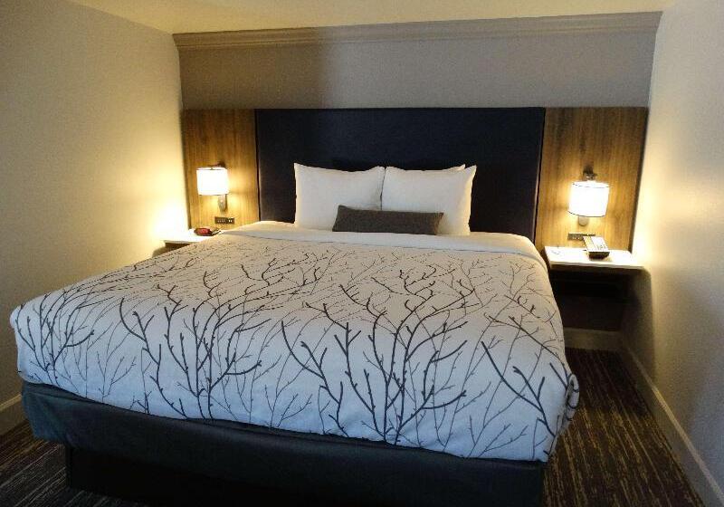 Стандартный Номер Кровать Кинг, Best Western Premier Denver East