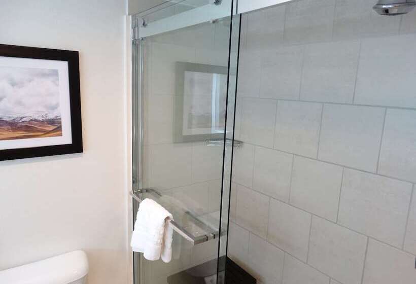 Номер Стандарт 2 Двуспальные Кровати, Best Western Premier Denver East
