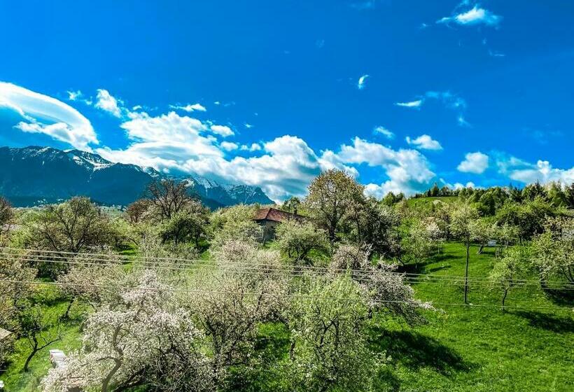 带大床的豪华间, Transylvania Mountain View Cdi