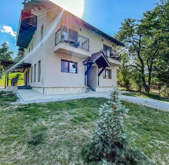 标准间, Transylvania Mountain View Cdi