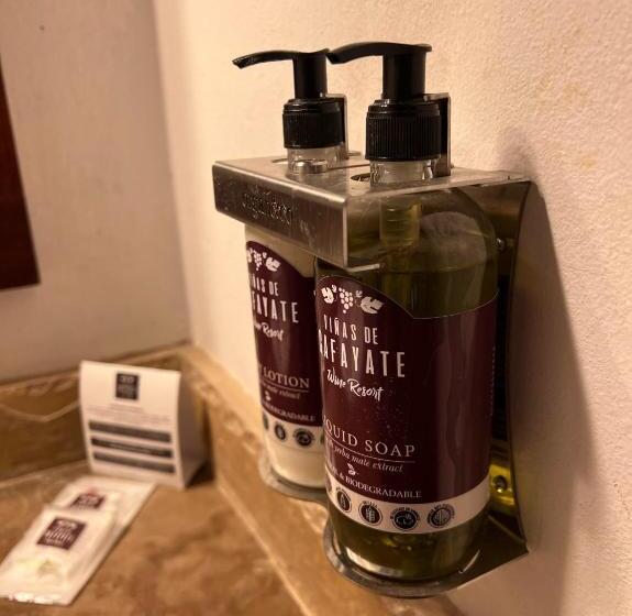 带观景的标准间, Viñas De Cafayate Wine Resort