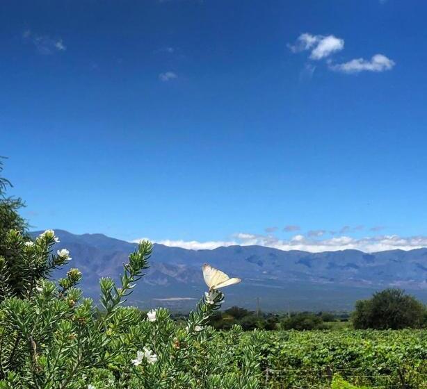 带观景的标准间, Viñas De Cafayate Wine Resort