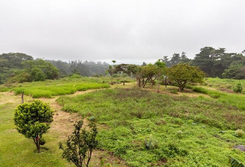 Вилла 3 Спальни, Monteverde Ecolove