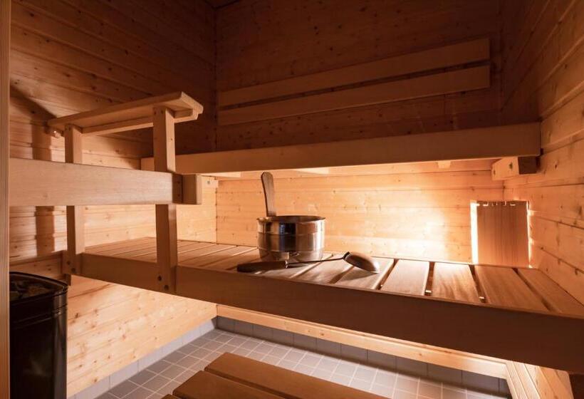 Студия Стандарт, Lapland Hotels Saaga