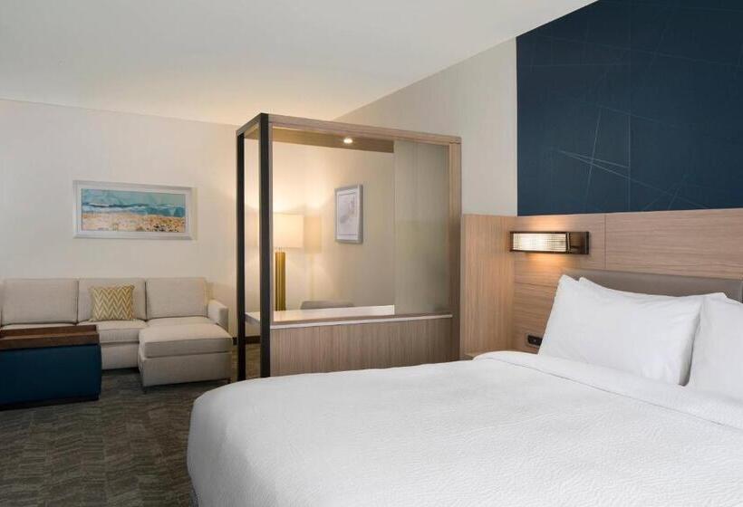 מיטת קינג בסוויטה, Springhill Suites By Marriott Amelia Island
