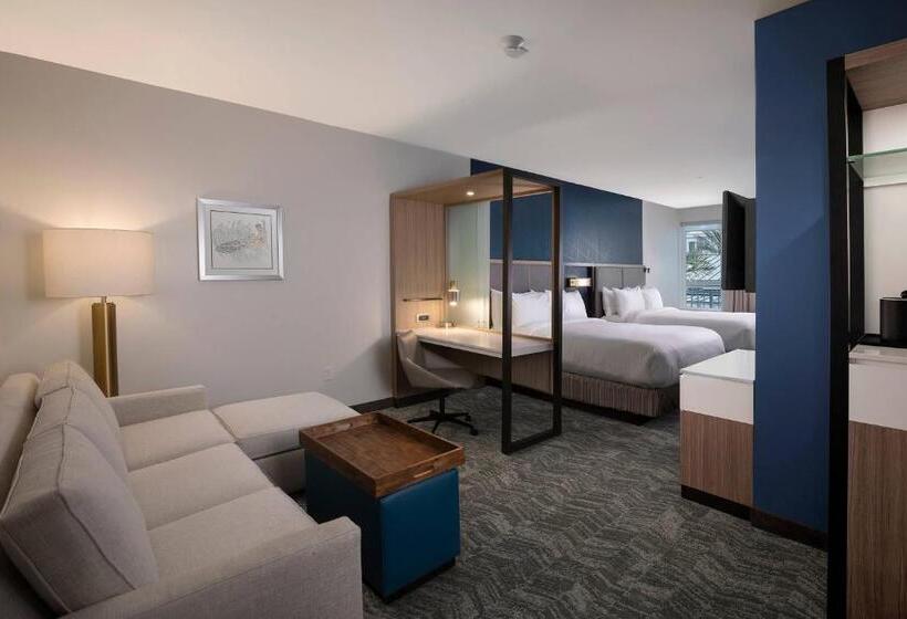 סוויטה עם מיטת קווין, Springhill Suites By Marriott Amelia Island