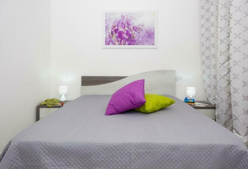 Номер Стандарт, Paloma B&b