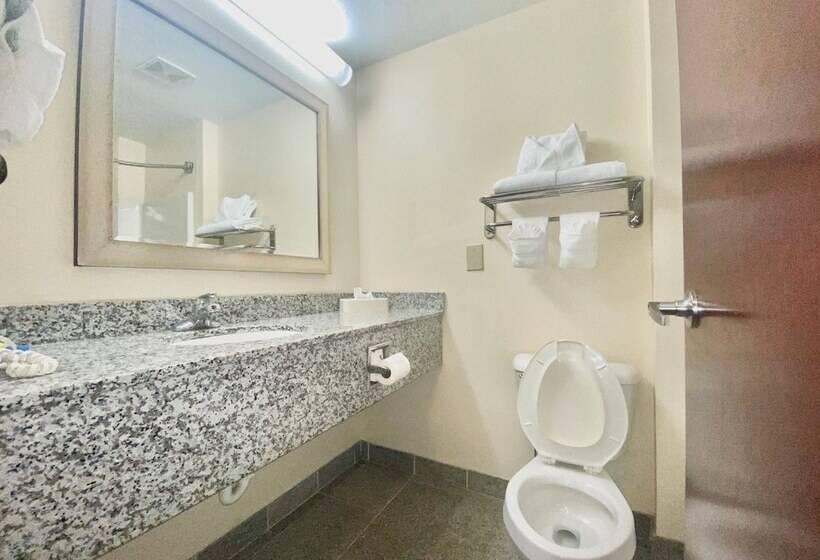 Suite, Holiday Inn Express & Suites Indianapolis   East, An Ihg