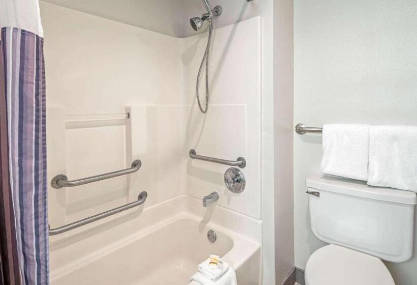 스탠다드 룸 킹사이즈 침대, La Quinta By Wyndham Baton Rouge Siegen Lane