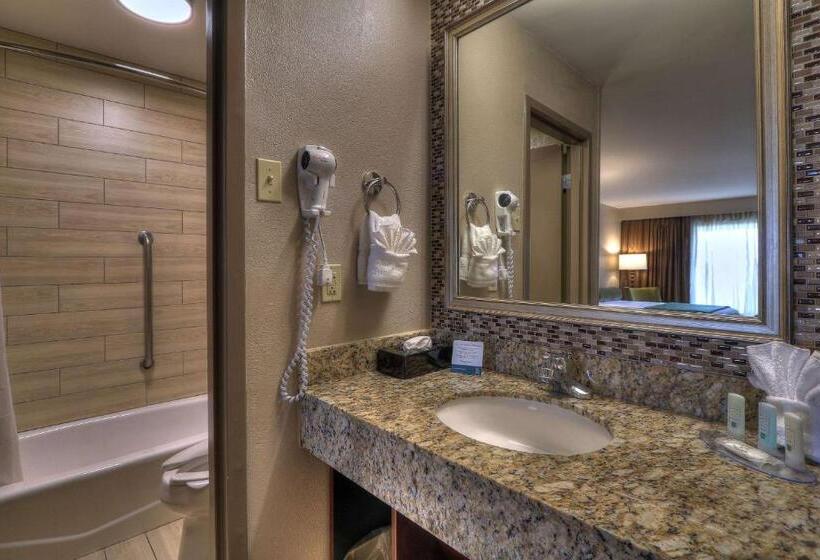 标准间, Quality Inn Near The Island Pigeon Forge