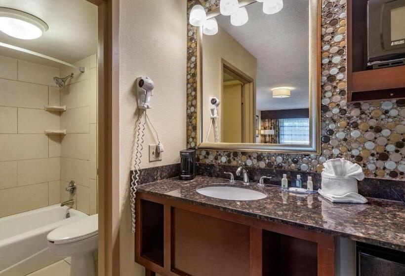 标准间, Quality Inn Near The Island Pigeon Forge