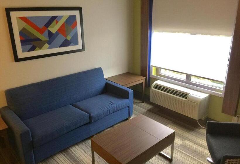 Люкс Кровать Кинг, Holiday Inn Express & Suites Houston   Memorial Park Area, An Ihg