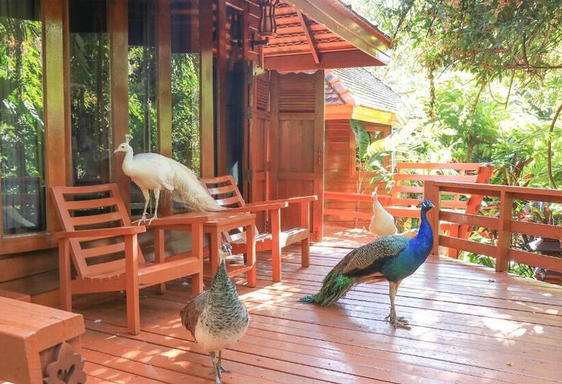 キャビン, Sukantara Cascade Resort And Spa