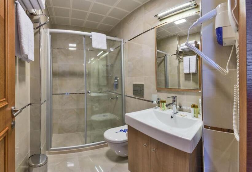 スタンダードルーム, The Byzantium Suites Hotel & Spa
