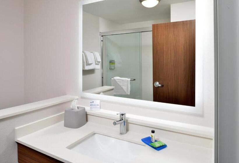 带大床的标准间, Holiday Inn Express Orlando   South Park, An Ihg