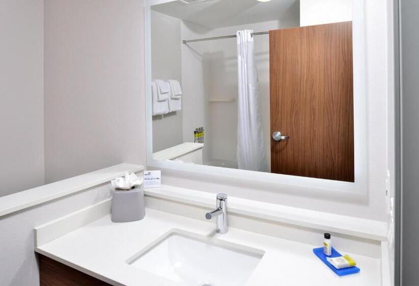 高级客房, Holiday Inn Express Orlando   South Park, An Ihg